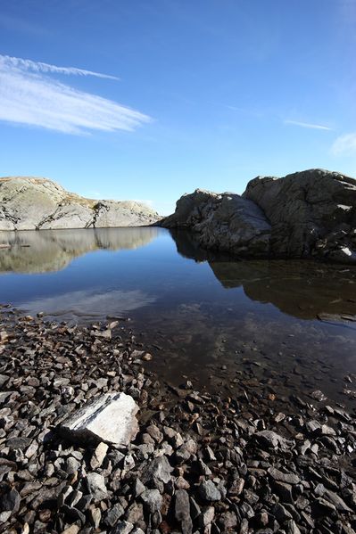 Datei:Goldlacken 0241 2013-10-08.jpg