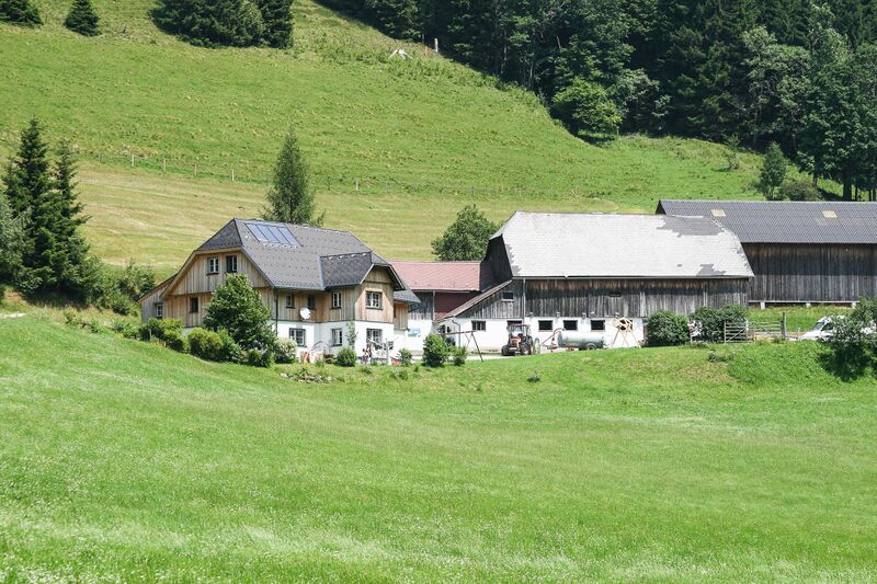 Datei:Haindl 8211.jpg