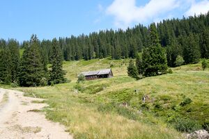 Mesneralm rottenmann-0238-2025-07-05.jpg