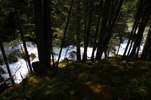 Obertalbach eschach 6338 2011-05-27.jpg