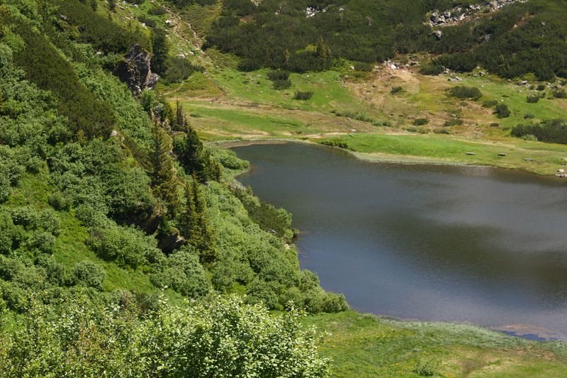 Datei:Plannersee 65259 2014-06-26.jpg