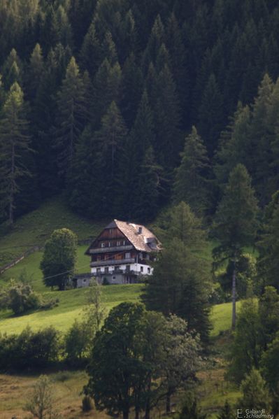 Datei:Schlapfer-rohrmoos 1417.jpg