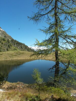 Schobersee 1374 2007-05-19.jpg