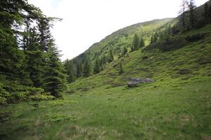 Sommeralm oppenberg 78061 2018-06-11.jpg