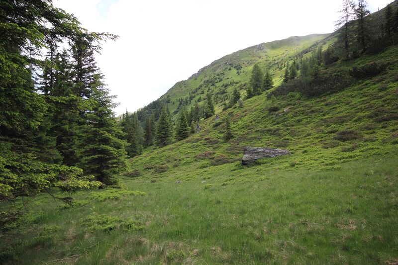 Datei:Sommeralm oppenberg 78061 2018-06-11.jpg