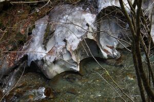 Strubschlucht 34054 2014-01-17.jpg