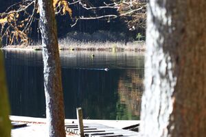 Toplitzsee 77804 2014-11-03.jpg