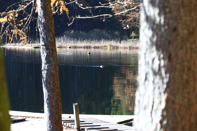 Datei:Toplitzsee 77804 2014-11-03.jpg