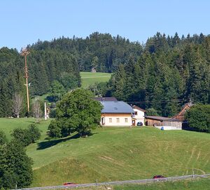 Vlg Salome Salomebüchel Lupitsch 12-146-2026-07-11.jpg