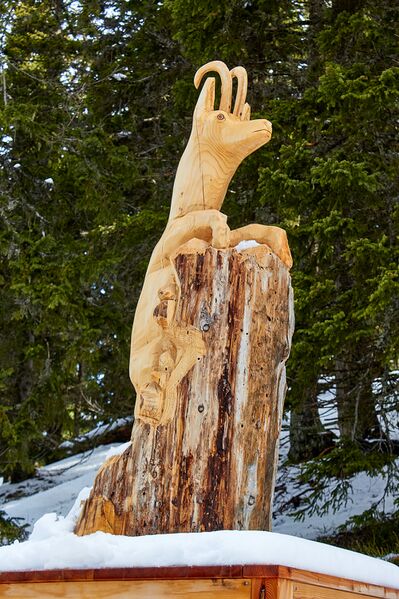 Datei:Waldwegerl planai-0069-2023-05-19.jpg