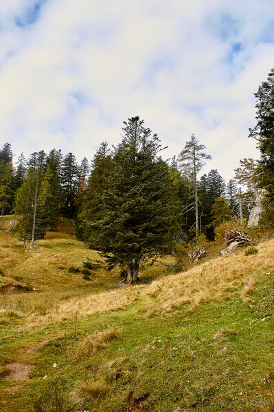 Datei:Ausseer sandlingalm-0058-2021-10-11.jpg
