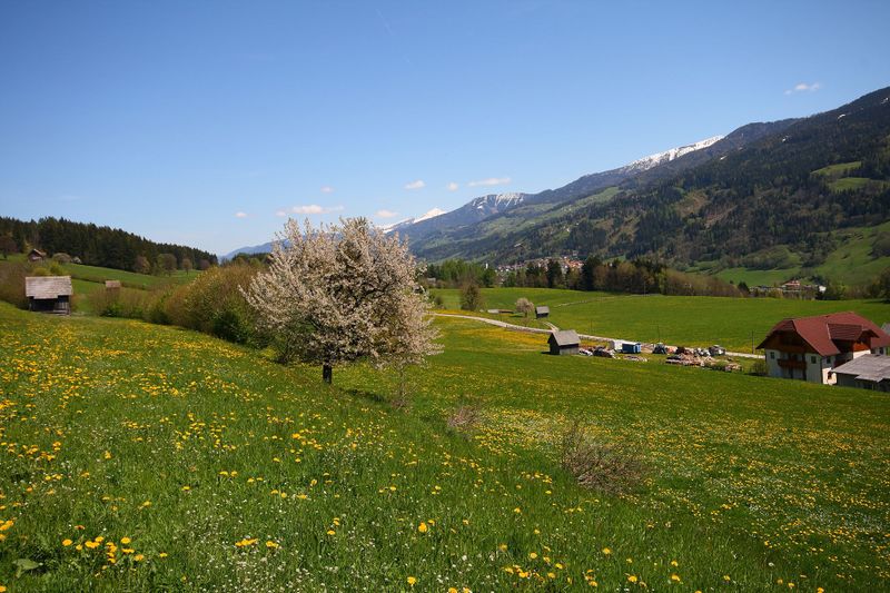 Datei:Birnberg 21749 2008-05-07.jpg