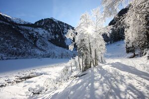 Bodensee 26536 2014-01-01.jpg