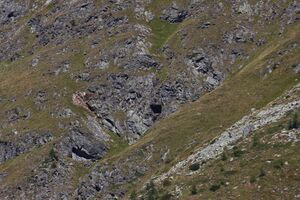 Grubachkar 02207 2015-09-11.jpg