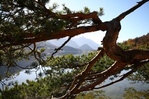 Grundlsee See 77892 2014-11-03.jpg