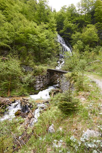 Datei:Hochreit hartelsgraben-1002-2021-06-05-2.jpg