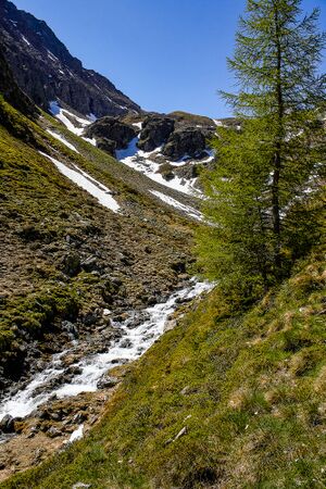 Inneres lämmerkar-2000-2021-06-16.jpg