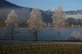 Putterersee - winter 17131 2013-12-23.jpg