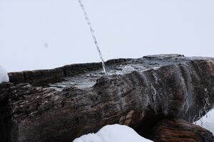 Seiteralm-giglach 88076 2015-05-25.jpg