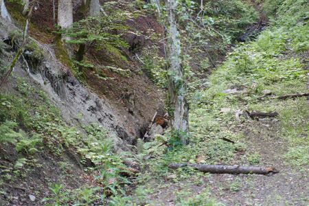 Sulzbach Krippau-0052-2025-06-24.jpg