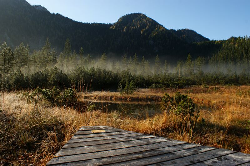 Datei:Wildnisgebiet Dürrenstein-Lassingtal 02.jpg