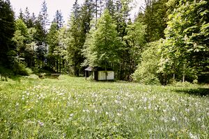Alte kapelle zauchen-0116-2023-06-01.jpg
