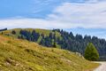 Bärenfeichtenalm-3218-2021-08-03.jpg