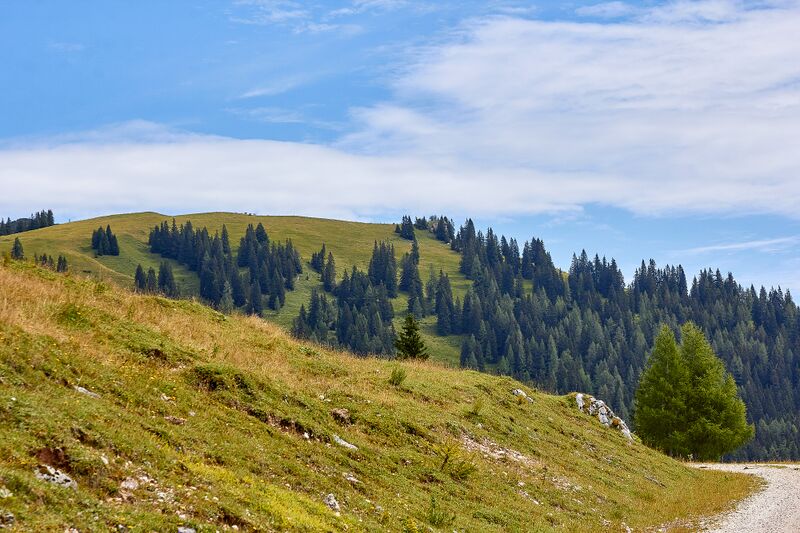 Datei:Bärenfeichtenalm-3218-2021-08-03.jpg