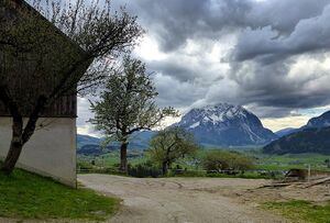 Bauernhof Mühlbacher080634.JPG