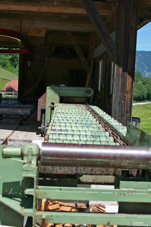 Daum kleinsölk 0022.jpg