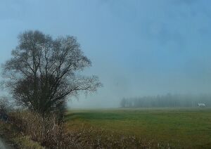 Ennsau Liezen1440914.JPG