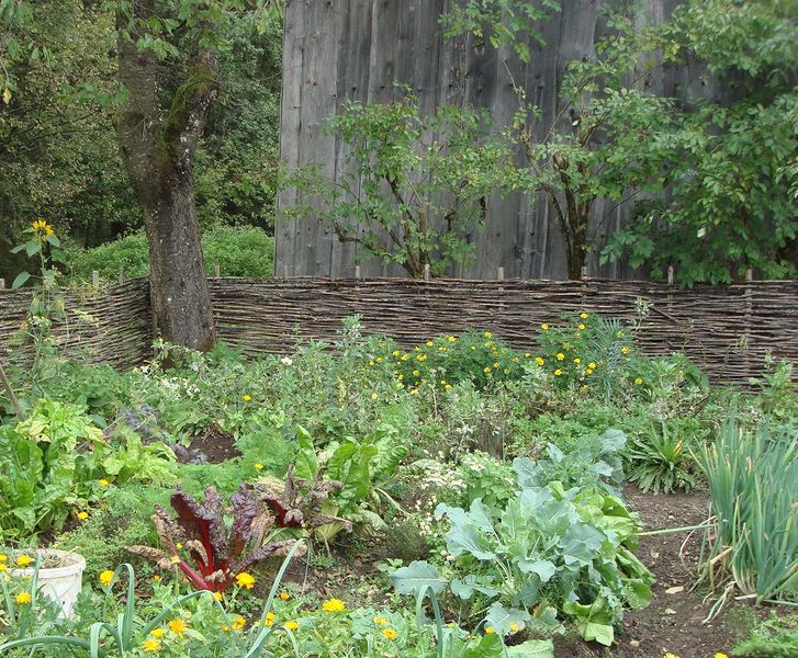 Datei:Flechtzaun 2.jpg