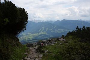 Im tiefkar 25268 2009-07-02.jpg