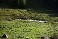 Katschtal 92562 2013-06-16.jpg
