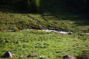 Katschtal 92562 2013-06-16.jpg