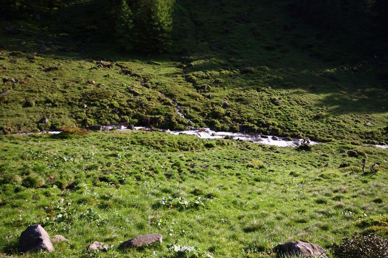 Datei:Katschtal 92562 2013-06-16.jpg