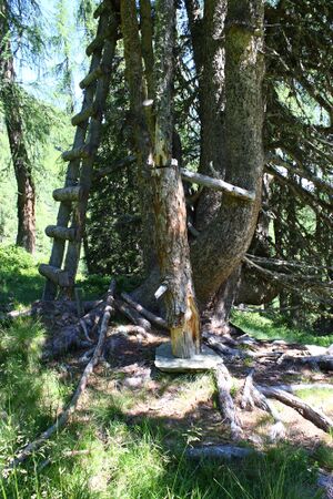 Klockalm 94705 2015-07-11.jpg