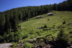 Labeckalm gumpental 49455 2017-06-09.jpg