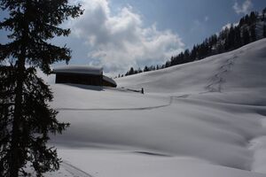 Moseralm-preunegg 82848 2015-03-15.jpg