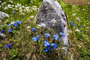 Obere koderboden-1009-2020-05-18.jpg