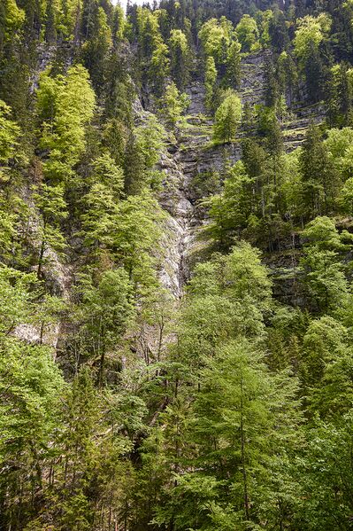Datei:Schöffauer lahngang-1000-2021-06-05-3.jpg