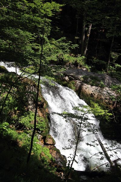 Datei:Zimitzbach grundlsee 77310 2018-06-04.jpg