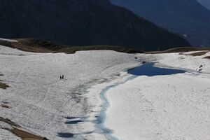 Augstsee loser 50342 2017-06-11.jpg