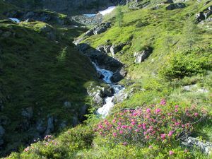 Duisitzkar 15905 2006-07-03.jpg