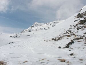 Duisitzkar 3921 2007-03-30.jpg