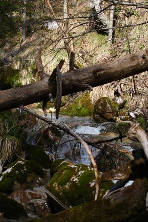 Feisterbach 1143 2008-04-17.jpg