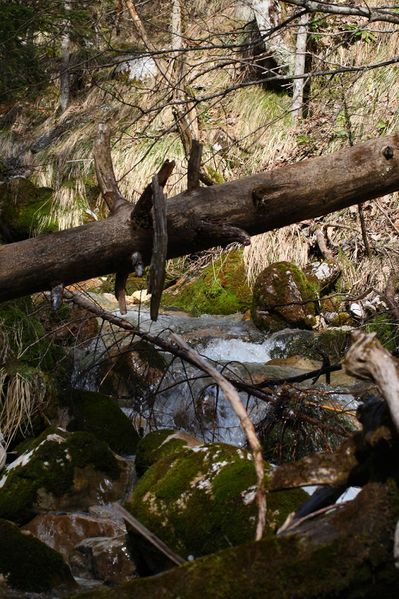 Datei:Feisterbach 1143 2008-04-17.jpg