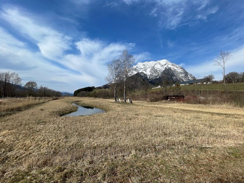 Datei:Feuchtwiesen trautenfels-1000-2023-03-10.jpg