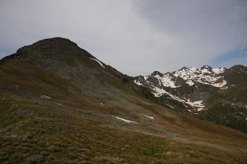 Datei:Gamsfeld pietrach 25205 2009-06-17.jpg