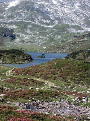 Giglachsee 0063 2002-06-30.jpg
